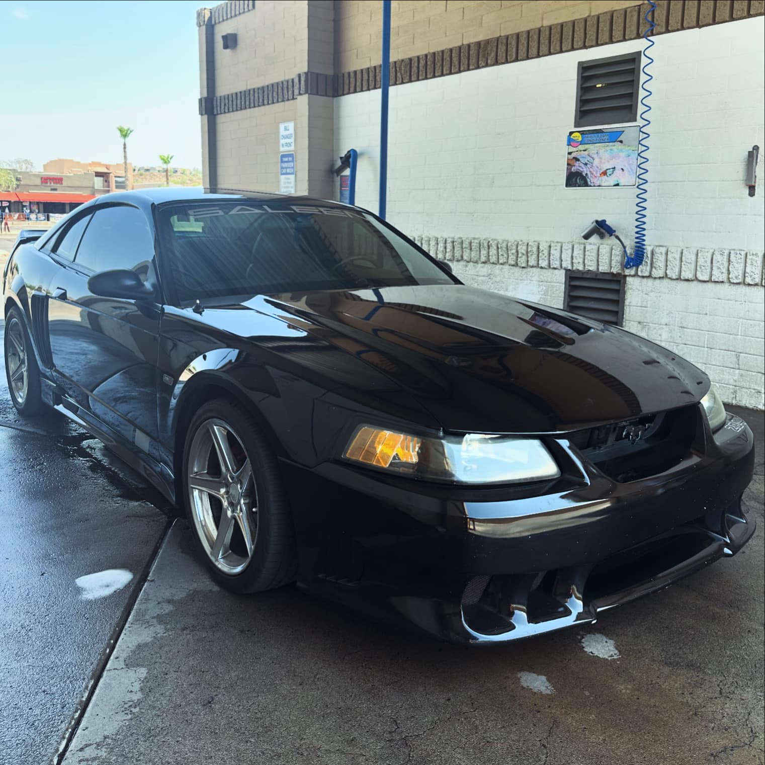 Sleek black Saleen Mustang with silver wheels parked in a self-service car wash bay.