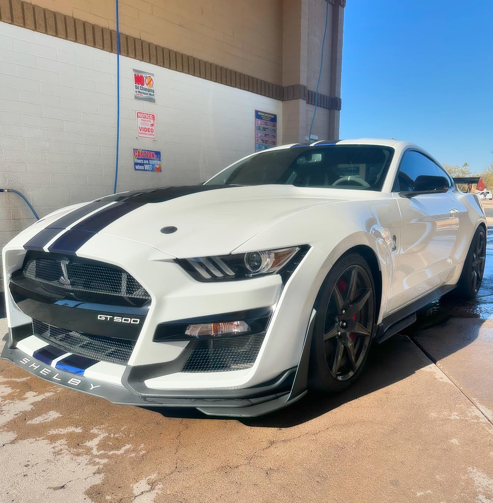 White Ford Mustang Shelby GT500 with blue racing stripes parked in a car wash bay.